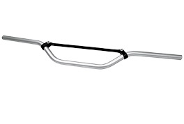 Guidon